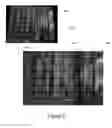 Fig. 09 - Multi-dimensional stacking with self-correction