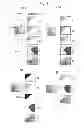 Fig. 06 - Material identification using multiple images