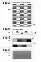 Fig. 07 - Apparatus and method for printing on and cutting a continuous sheet