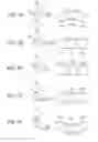 Fig. 07 - IMAGE PROCESSING APPARATUS AND METHOD, AND PROGRAM