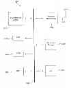 Fig. 01 - Real-time delivery of location/orientation data