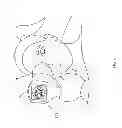 Fig. 07 - Image capture device for fundus and imaging method