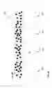 Fig. 08 - Printing system with observable noise-reduction using fluorescent toner