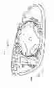 Fig. 47 - Vehicular rearview mirror elements and assemblies incorporating these elements