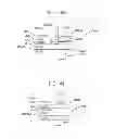 Fig. 55 - Vehicular rearview mirror elements and assemblies incorporating these elements