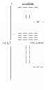 Fig. 12 - Selective Repositioning and Rotation Wavelength Beam Combining System and Method