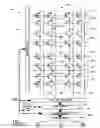 Fig. 02 - Method of programming a multi-level memory device