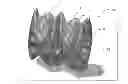 Fig. 01 - Extruder mixing element for a co-rotating twin screw extruder