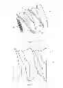 Fig. 04 - Extruder mixing element for a co-rotating twin screw extruder