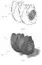 Fig. 06 - Extruder mixing element for a co-rotating twin screw extruder