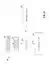Fig. 09 - Method to drop packets selectively in packet data networks