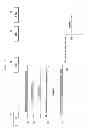 Fig. 06 - Method and apparatus for transmitting/receiving data in mobile communication system