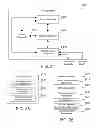 Fig. 19 - Aggregated appliance in a mobile data network