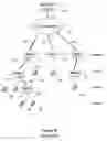 Fig. 10 - Architecture and methods for traffic management by tunneling in hierarchical cellular networks