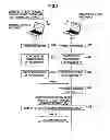 Fig. 03 - Wireless communication device, wireless communication system, wireless communication method and program
