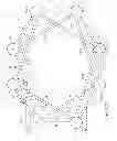 Fig. 04 - Disjoint data path routing for integrity and availability augmentation