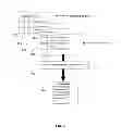 Fig. 05 - Processing of access point crowdsourcing data