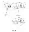 Fig. 11 - Frequency translation in a virtualized distributed antenna system