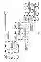 Fig. 09 - Multiprotocol antenna system for multiple service providers