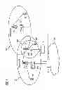 Fig. 02 - Method and Apparatus