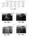 Fig. 22 - METHOD OF IDENTIFYING AN OBJECT IN A VISUAL SCENE