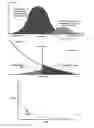 Fig. 02 - Biometric identification and verification