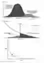 Fig. 11 - Biometric identification and verification