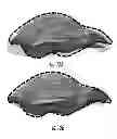 Fig. 13 - Enhanced method for correcting data for deformations during image guided procedures