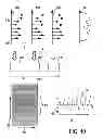 Fig. 06 - Device and method for extracting information from characteristic signals