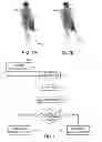 Fig. 07 - Learning-based pose estimation from depth maps