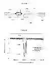 Fig. 08 - Optical fiber for chemical sensor