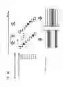 Fig. 80 - Information communication method of obtaining information from a subject by demodulating data specified by a pattern of a bright line included in an obtained image