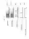 Fig. 89 - Information communication method of obtaining information from a subject by demodulating data specified by a pattern of a bright line included in an obtained image