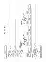 Fig. 07 - Image forming and fixing apparatuses having fixing and pressing rotating member and rectification element