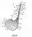 Fig. 06 - Airfoil design having localized suction side curvatures