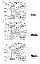 Fig. 07 - Compressor having capacity modulation or fluid injection systems