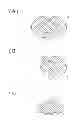 Fig. 01 - Catalyst for purifying exhaust gas