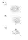 Fig. 02 - Catalyst for purifying exhaust gas