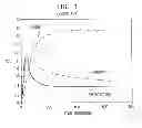 Fig. 02 - Radioimaging methods using teboroxime and thallium