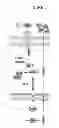 Fig. 06 - Treatment and prevention of diffuse parenchymal lung disease by selective active-site mTOR inhibitors
