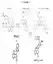 Fig. 08 - Treatment and prevention of diffuse parenchymal lung disease by selective active-site mTOR inhibitors