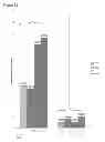 Fig. 22 - Treatment and prevention of diffuse parenchymal lung disease by selective active-site mTOR inhibitors