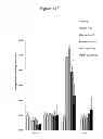 Fig. 35 - Treatment and prevention of diffuse parenchymal lung disease by selective active-site mTOR inhibitors