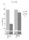 Fig. 40 - Treatment and prevention of diffuse parenchymal lung disease by selective active-site mTOR inhibitors