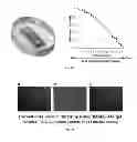 Fig. 03 - Bacterium-based microrobot capable of targeting cancer tissue
