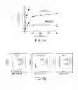 Fig. 02 - Cupredoxin derived transport agents and methods of use thereof