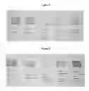 Fig. 02 - Dental Whitening Method
