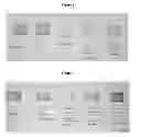 Fig. 02 - Dental Whitening Method