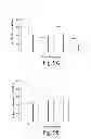 Fig. 12 - CONJUGATES, PARTICLES, COMPOSITIONS, AND RELATED METHODS