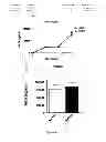 Fig. 05 - AAV8 vector with enhanced functional activity and methods of use thereof